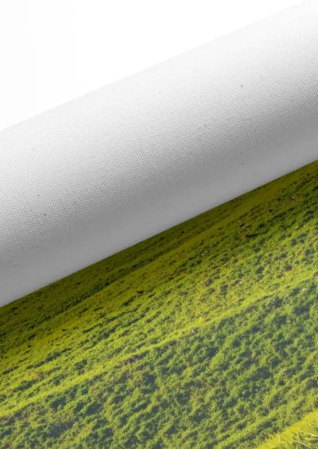 The Tethered House — paper and print close-up